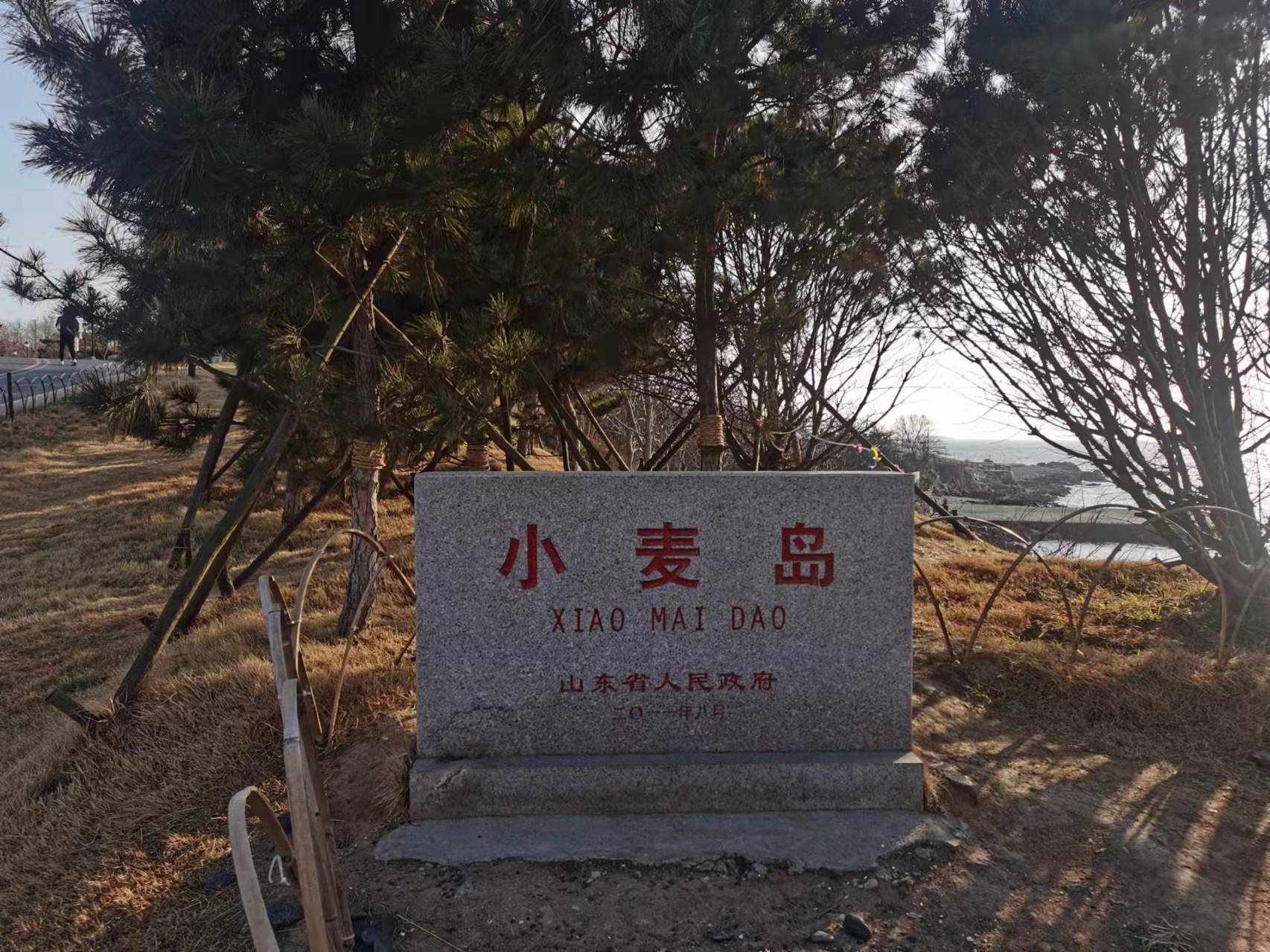 青岛小麦岛公园